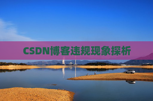 CSDN博客违规现象探析